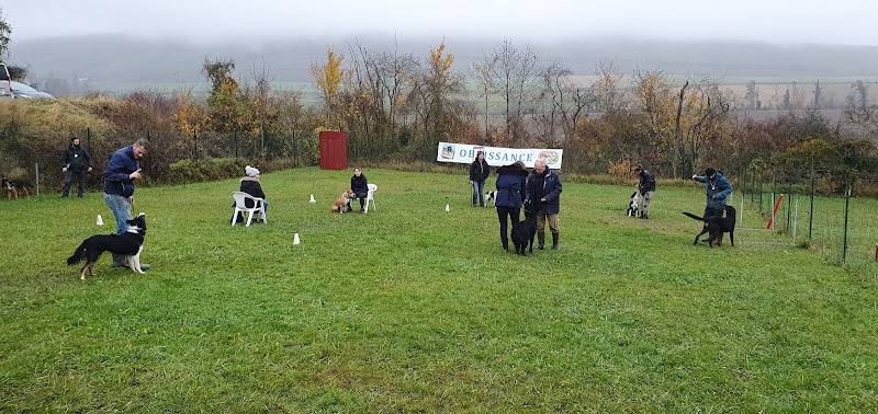 Club Canin du Sud de l'Aisne