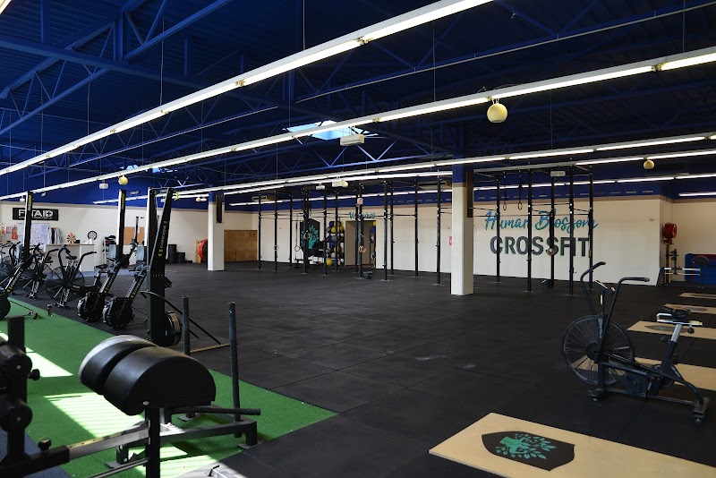 Human Blossom CrossFit Sochaux / Montbéliard