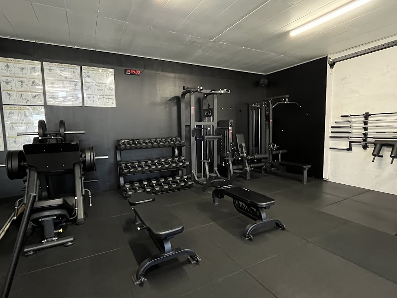 Physiques Factory
