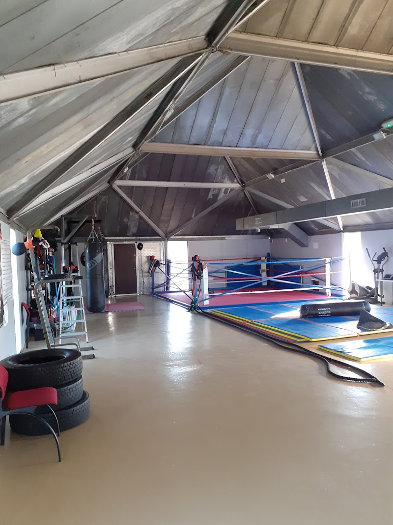 ArtFitBoxing - USPT