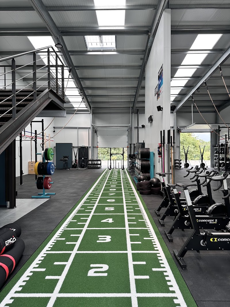 Silver Coast Training Club