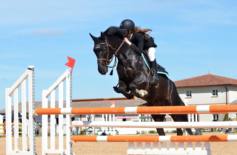 Claire Saint-Yves : Mental-Equi-Coaching