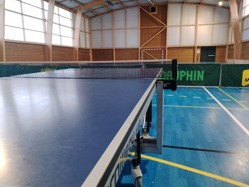 Villedieu tennis de table -Théo Ping