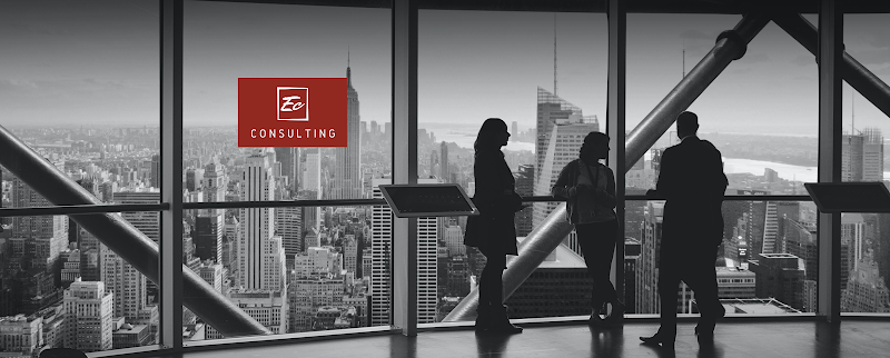 EC CONSULTING-EC PERFORMANCE FORMATIONS