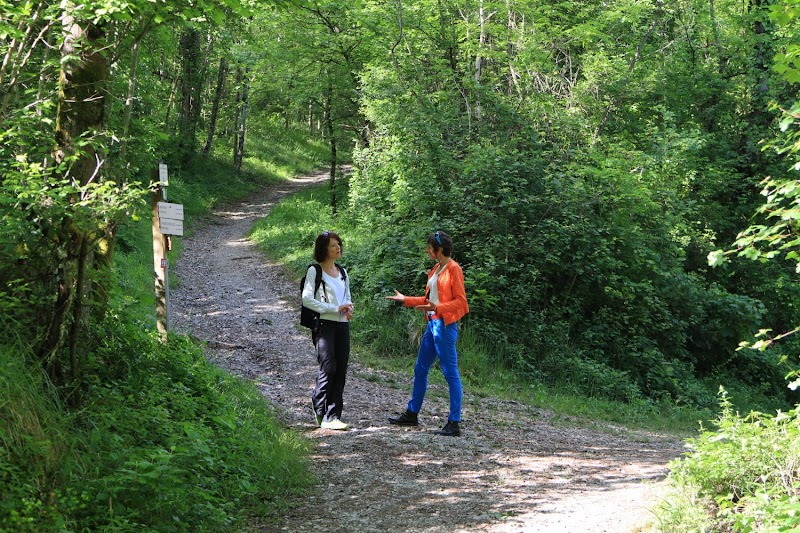 Nathaly Olagnon - Coaching en plein air