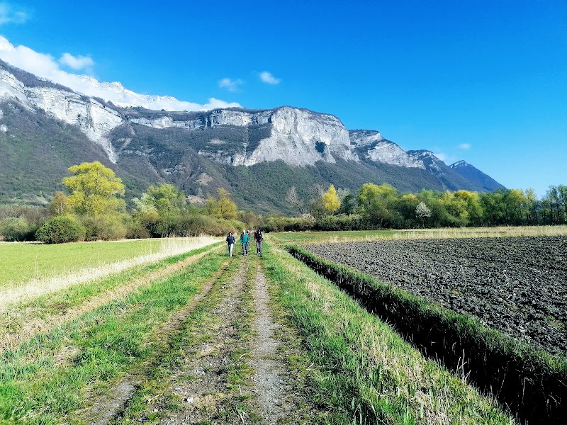 COACH'IN GRESIVAUDAN