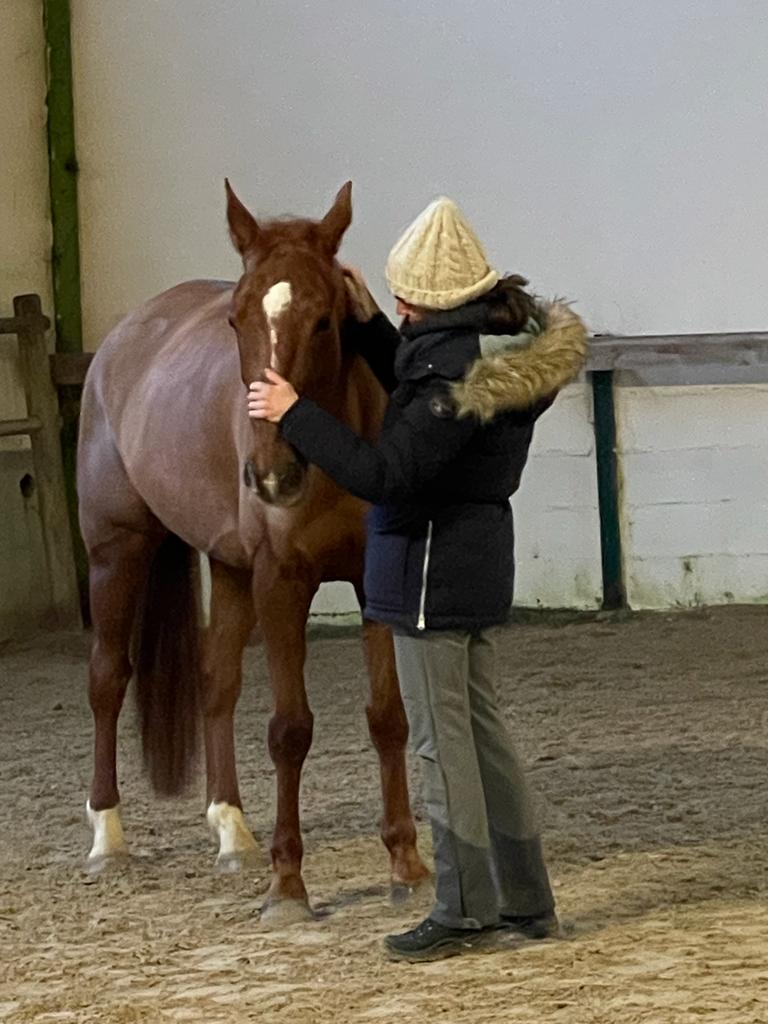 Horse and Coach