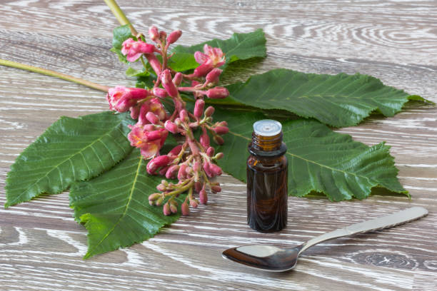 Coaching L'essence des fleurs