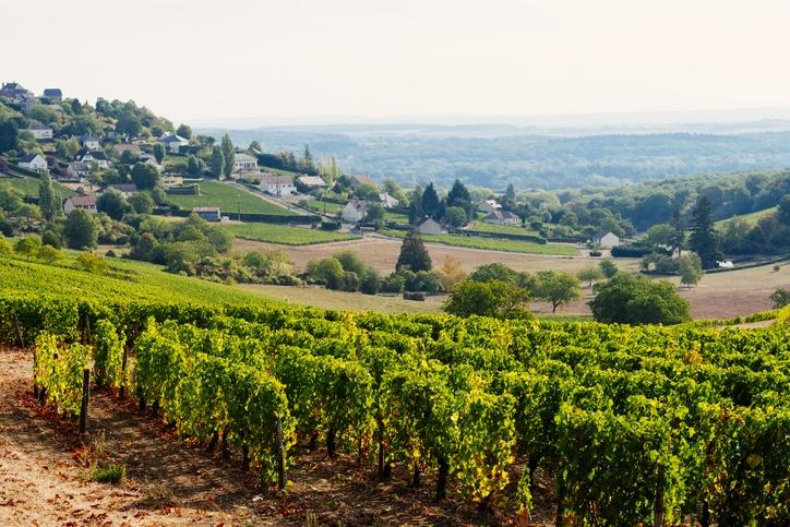 ORIENTACTION Rive de Gier - Bilan de compétences - Outplacement