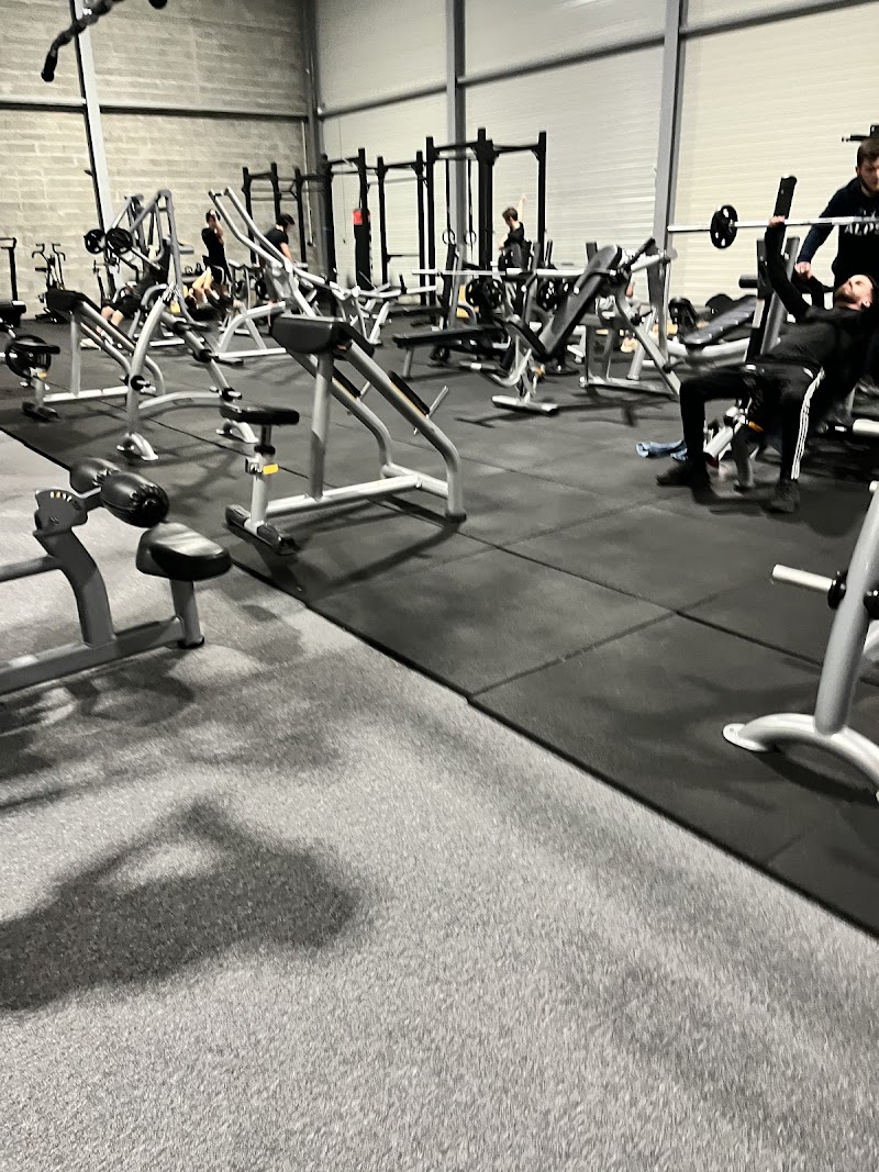 Open Gym