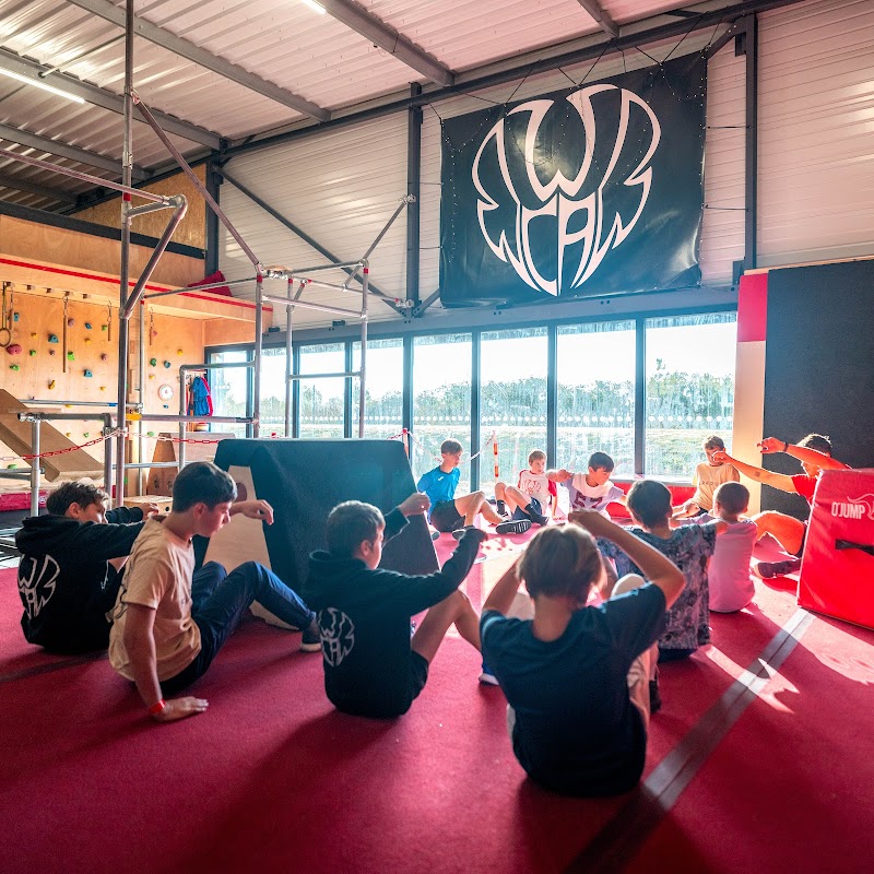 WEST COAST ACADEMY CHOLET / Parkour, Ninja, Escalade, Trampoline, Acrobaties.