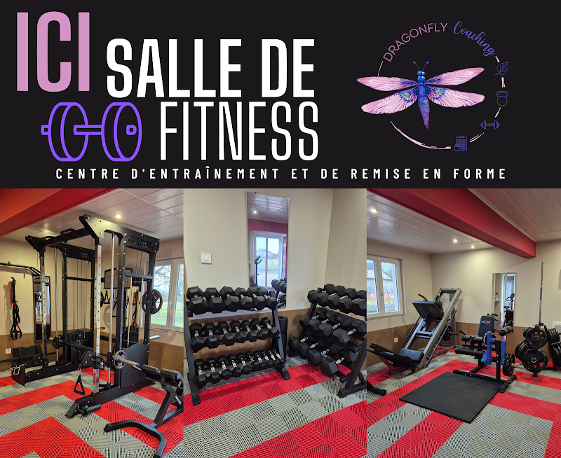 FRANCAIS LISE - DRAGONFLY COACHING