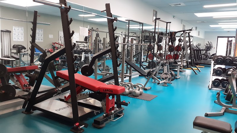 Phil Fitness