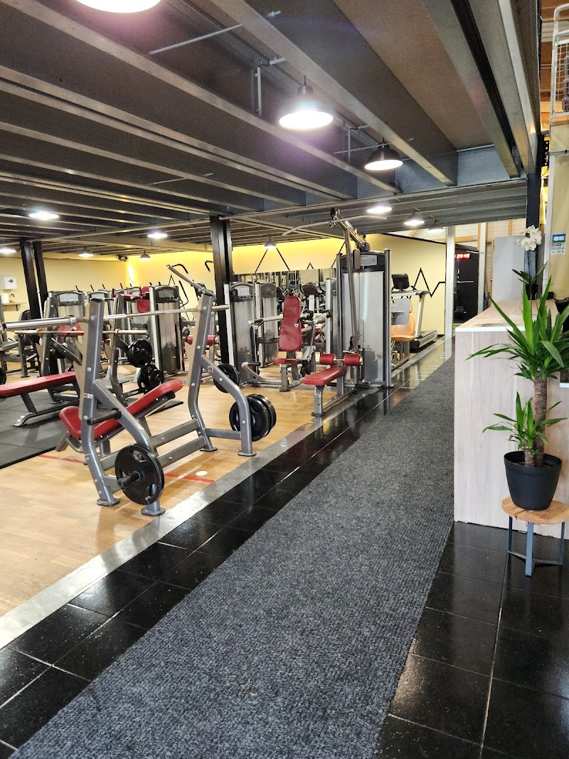 MC GYM