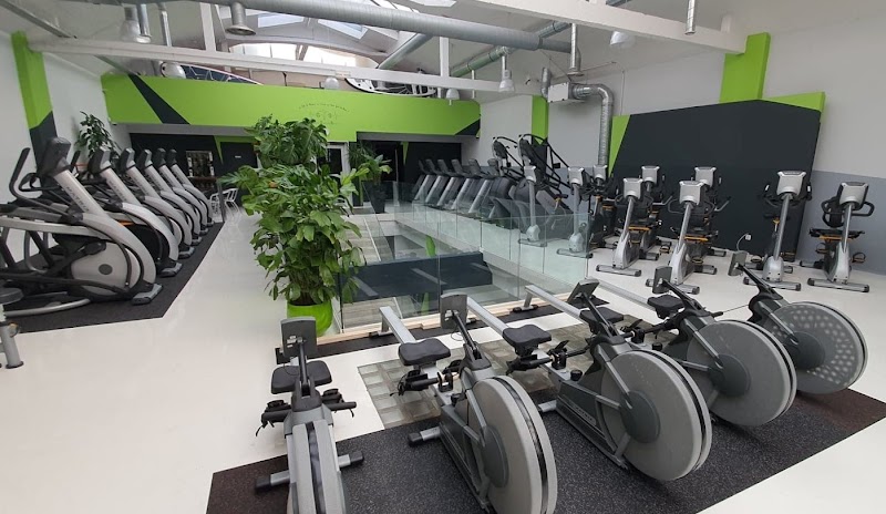 Global Training Sport