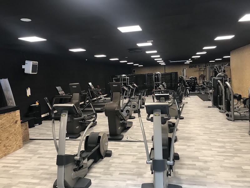 Impact Fitness