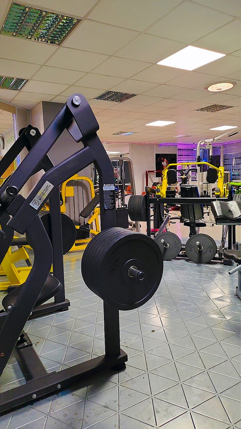 Best Body Musculation fitness Sarreguemines