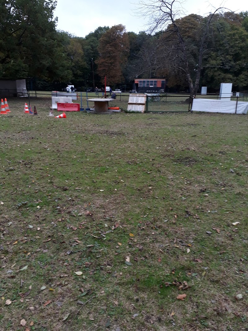 Training Club Canin de Metz