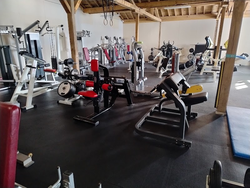 Association Sportive de Musculation Salisienne