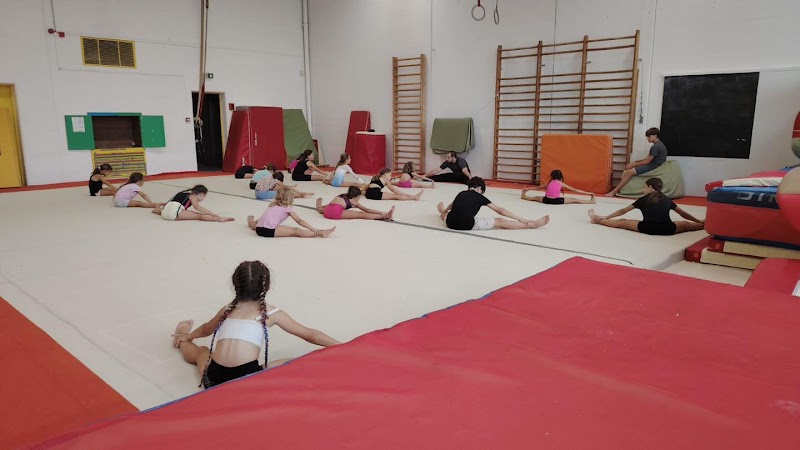 Ensemble Gymnique Montélimar Agglo - Photo 1