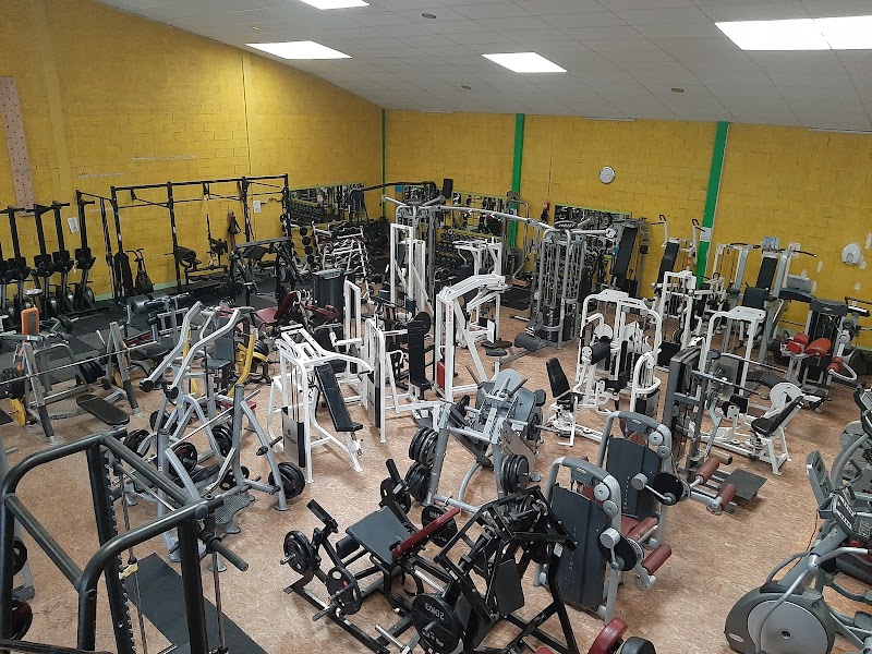 Jungle Gym