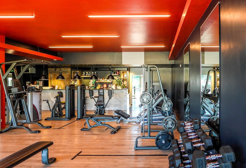 Coaching Pilates & Fitness