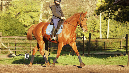 Coach Sportif & Préparateur Physique - Montalivet - Pulse Elevate