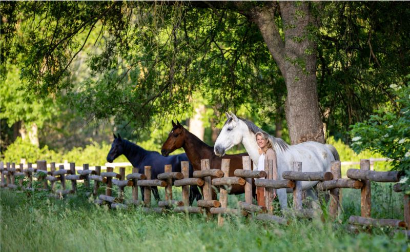 Rise-up Equicoaching - Coaching Professionnel I Team Building I Equicoaching & Médiation Equine - Montpellier